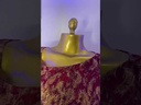 M09 - Robe Moulante