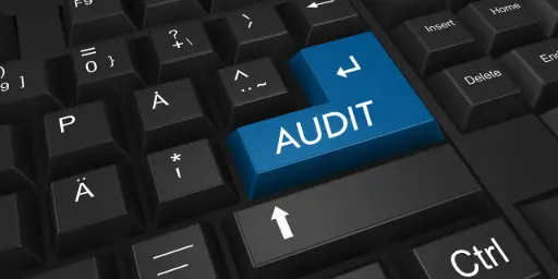 AUDIT SI